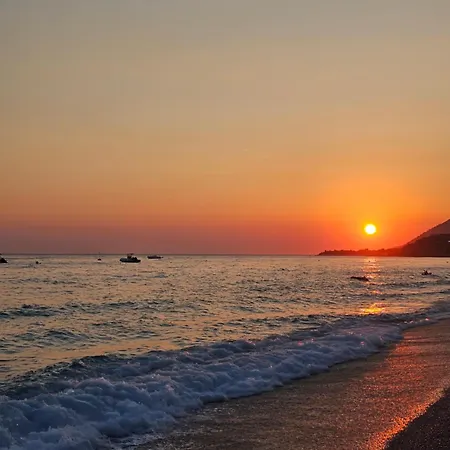 Dejvid's * Polisi i Vogel