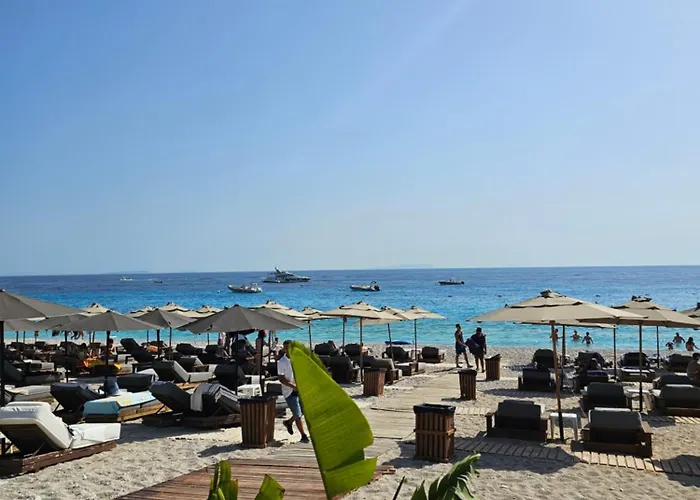 Dejvid's * Polisi i Vogel