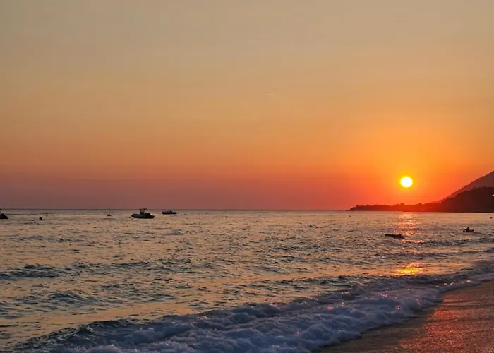 Dejvid's * Polisi i Vogel